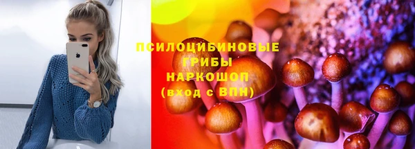apvp Алексин