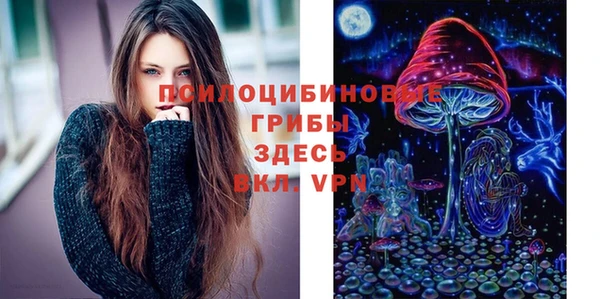 2c-b Семёнов
