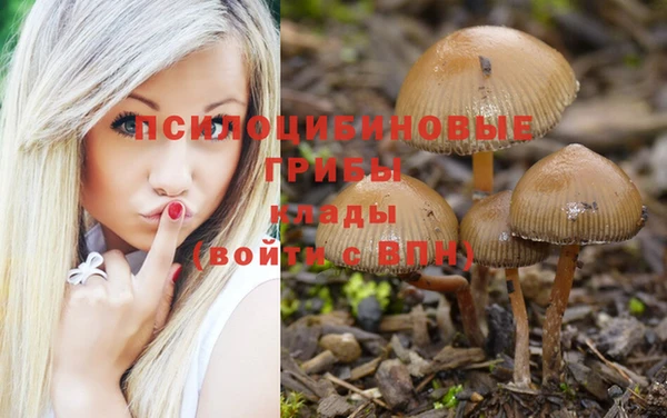 кокаин премиум Алзамай