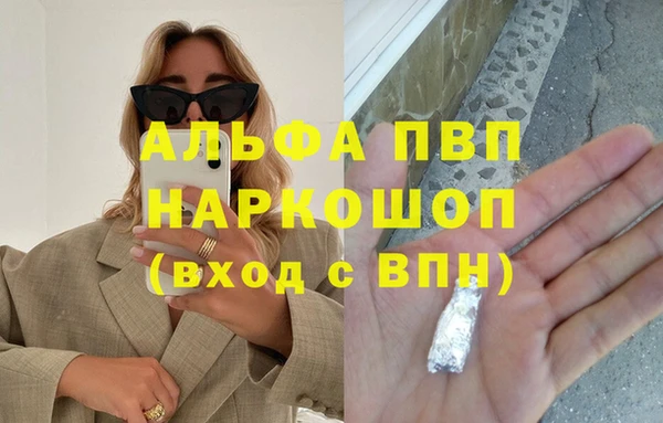 apvp Алексин