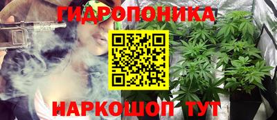 трава Новозыбков