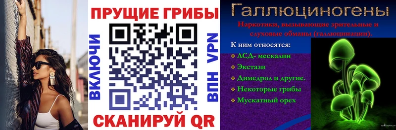 где продают   Топки  Псилоцибиновые грибы мухоморы 