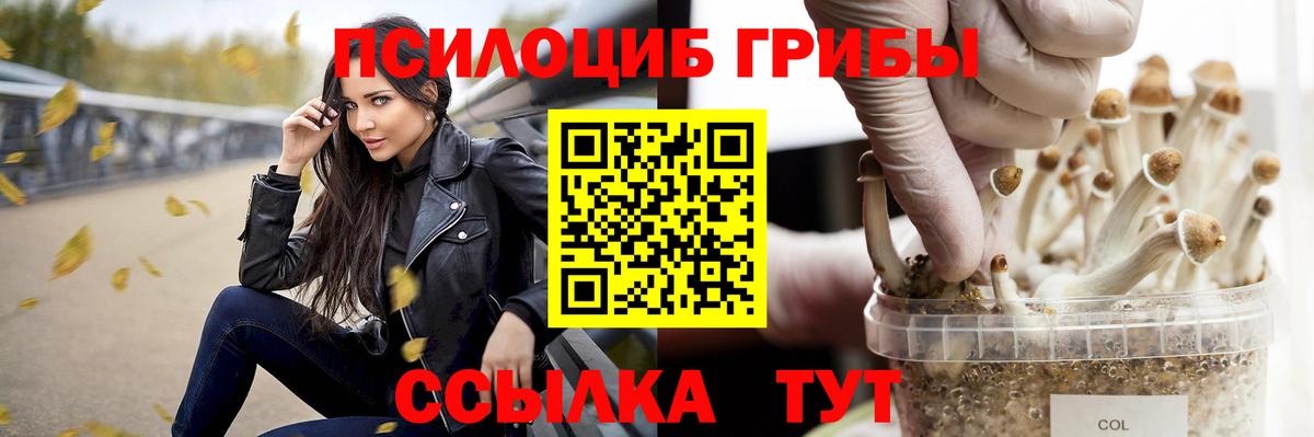закладка  Вход с VPN  Топки  Галлюциногенные грибы MAGIC MUSHROOMS  Псилоцибиновые грибы прущие грибы 